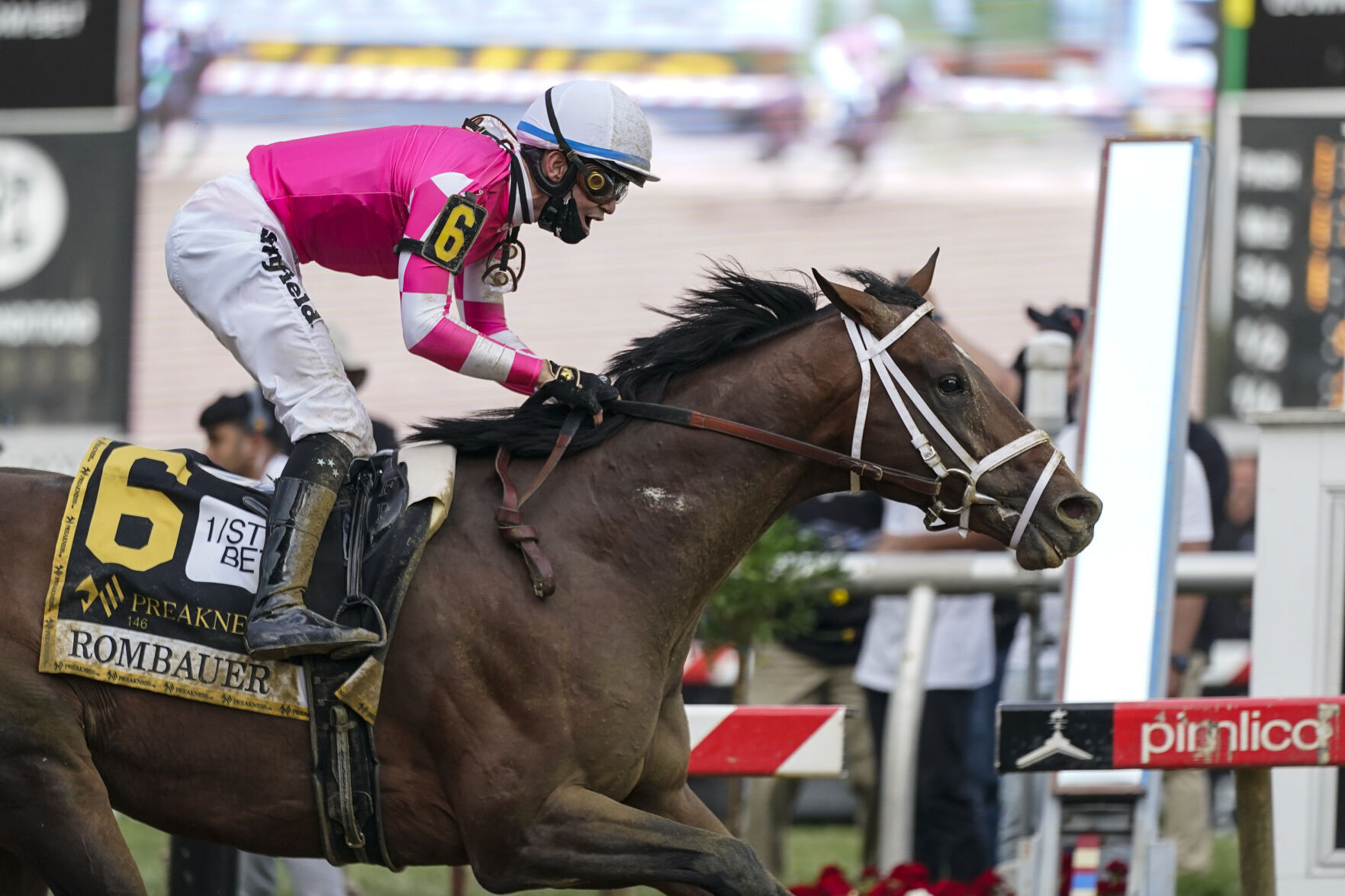 Preakness Stakes Horse Race